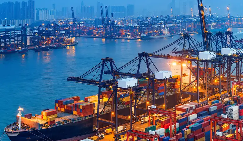 Export Financing & Risk Support